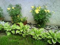 /album/fotogaleria-032016/dsc06314-jpg/