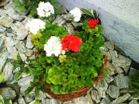 /album/fotogaleria-032016/dsc06317-jpg/