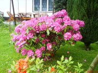 /album/fotogaleria-032016/dsc07110-jpg/