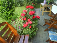 /album/fotogaleria-032016/dsc07119-jpg/