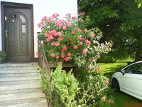 /album/fotogaleria-032016/dsc07154-jpg/