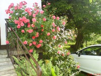 /album/fotogaleria-032016/dsc07156-jpg/